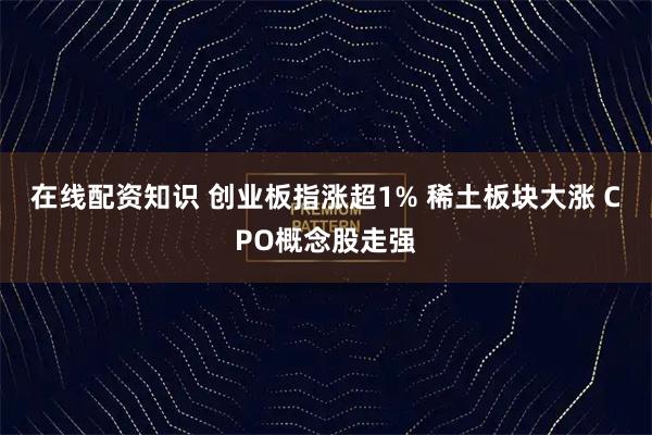 在线配资知识 创业板指涨超1% 稀土板块大涨 CPO概念股走强